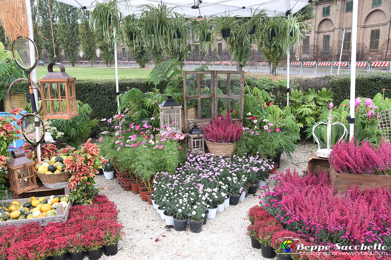 VBS_3416 - Floreal 2023 - Vivere con le piante.jpg